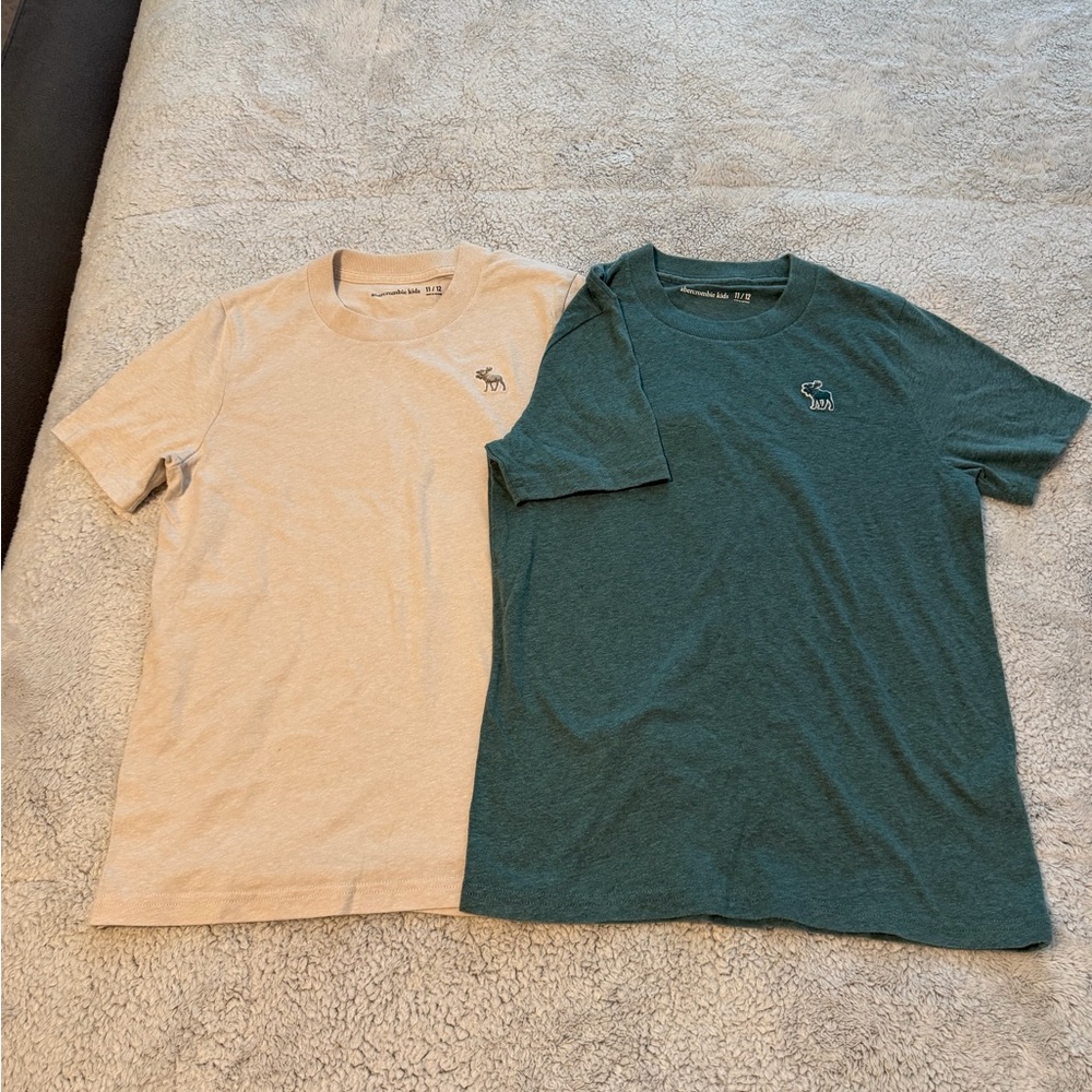 Boys Abercrombie Kids T-Shirts - Beige and Green - size 11/12